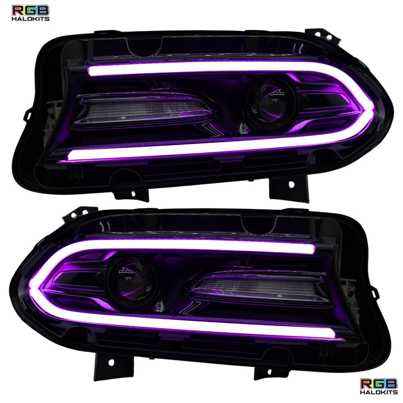 Load image into Gallery viewer, Dodge Charger Flow Series DRL Boards | Diffused LED (2015-2023)