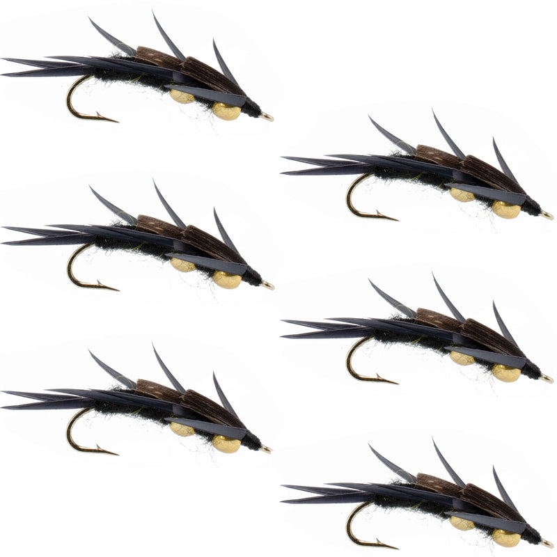 Load image into Gallery viewer, Double Bead Black Stone Fly with Black Biot Legs - Stonefly Wet Fly - 6 Flies Hook Size 8