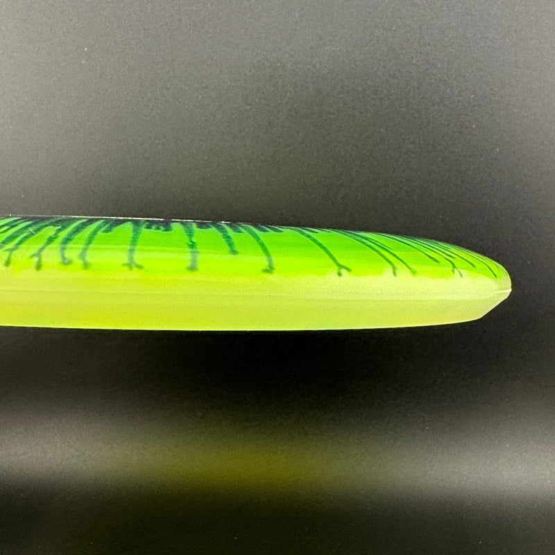 Load image into Gallery viewer, I-Dye Champion Aviar