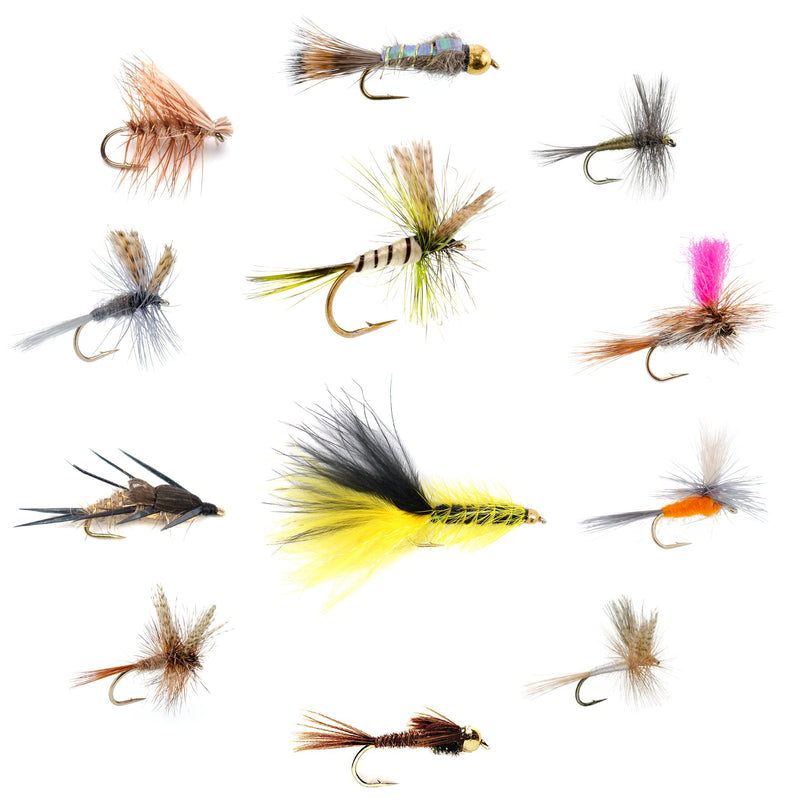 Load image into Gallery viewer, Eastern Trout Fly Assortment - 12 Essential Trout Flies Collection