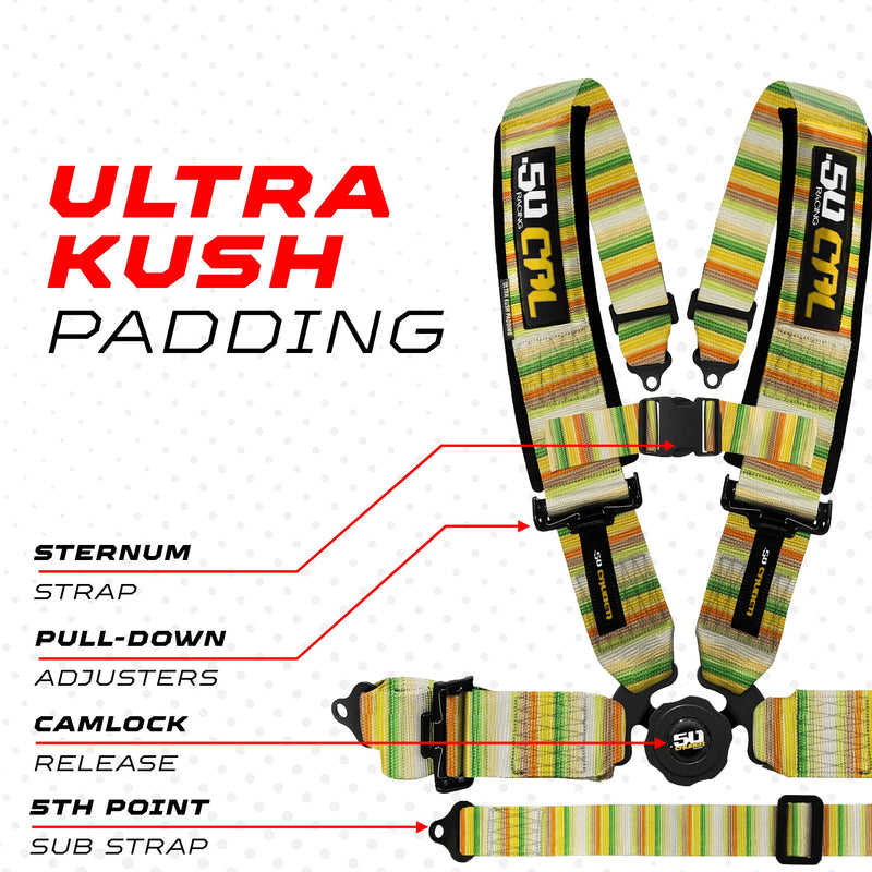 Load image into Gallery viewer, 2" & 3" 4 point & 5 point Harness Camlock Racing Harness
