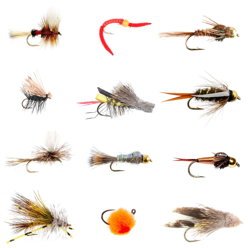 Load image into Gallery viewer, Trout Flies Assortment - 12 Flies for Trout Fly Fishing with Fly Box - Essential Dry and Wet Fly Selection