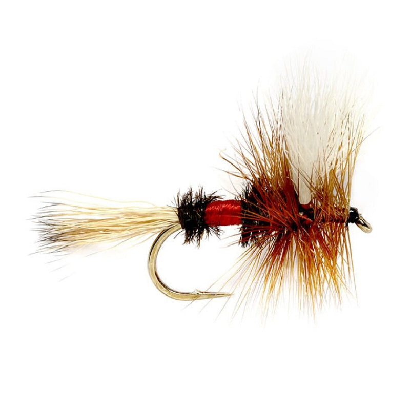 Load image into Gallery viewer, Trout Flies Assortment - 12 Flies for Trout Fly Fishing with Fly Box - Essential Dry and Wet Fly Selection