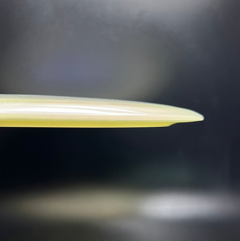 Load image into Gallery viewer, Champion Glow Tern