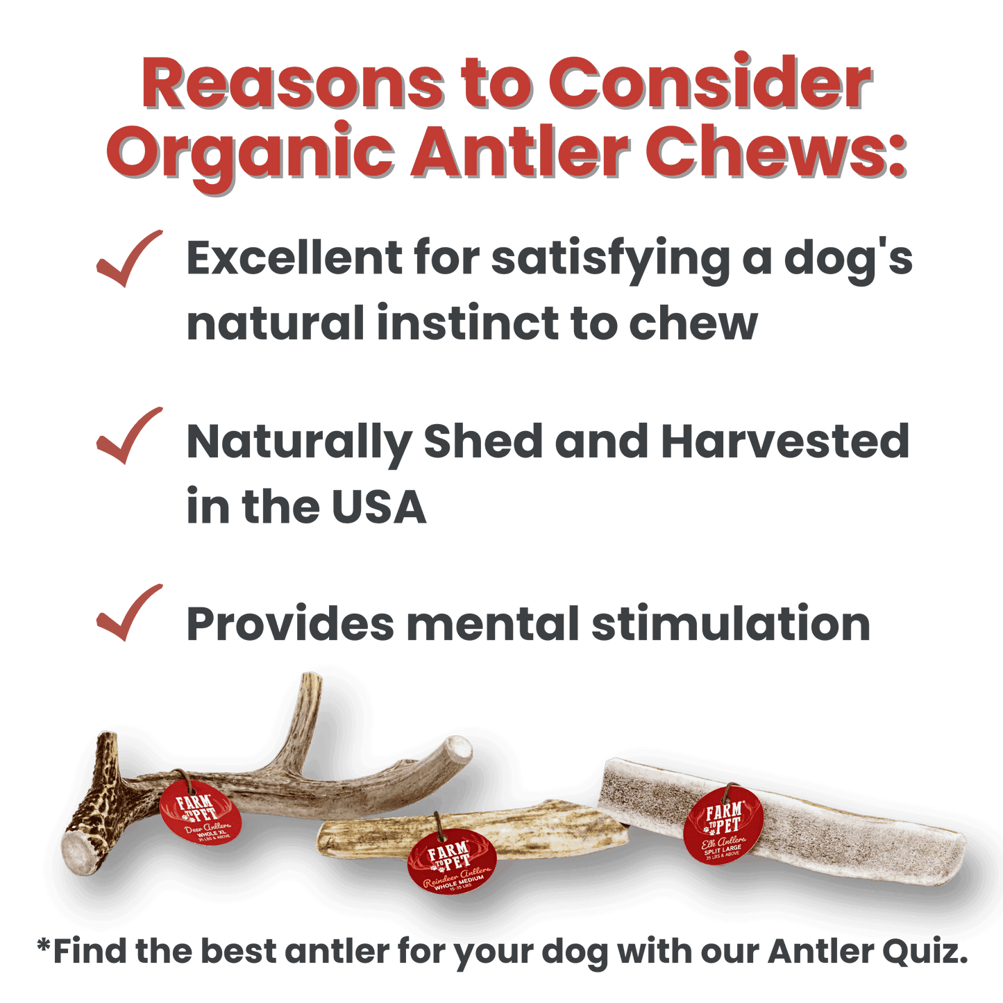 Whole Reindeer Antlers for Dogs - Skoutley Outdoors LLC