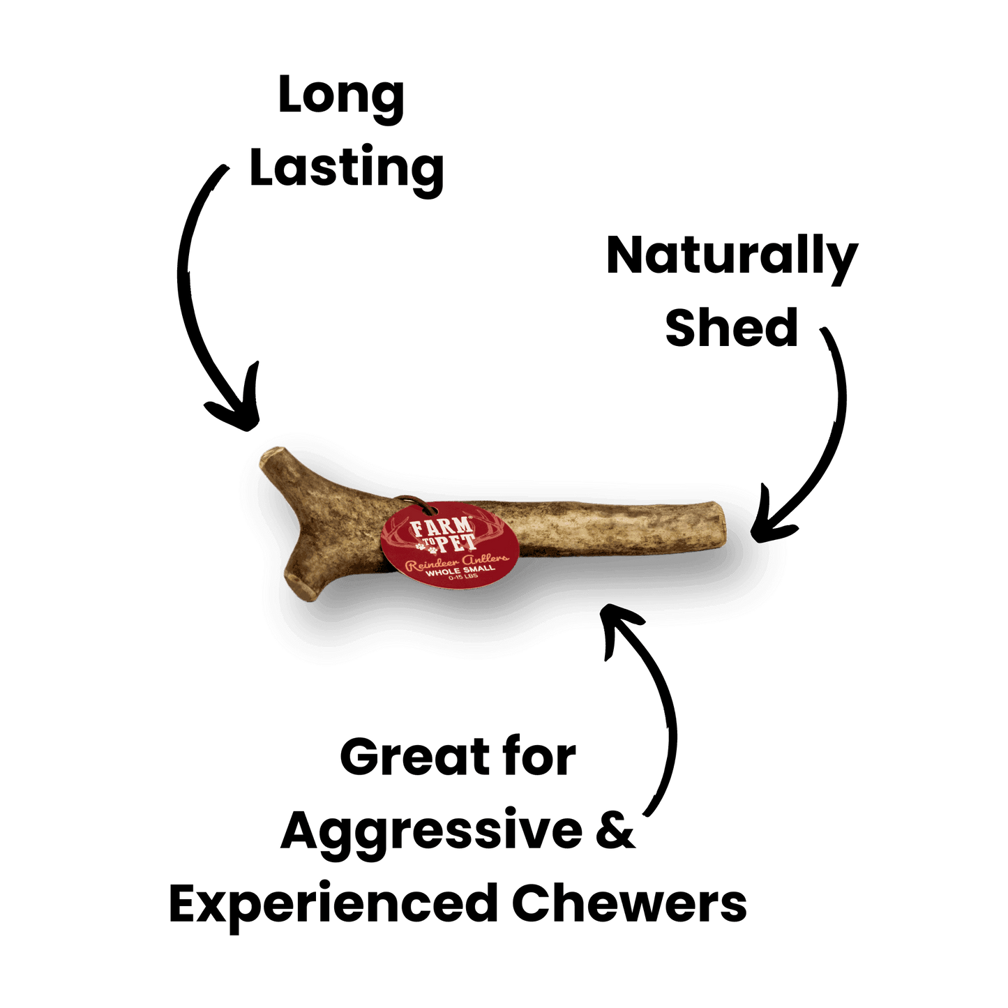 Whole Reindeer Antlers for Dogs - Skoutley Outdoors LLC