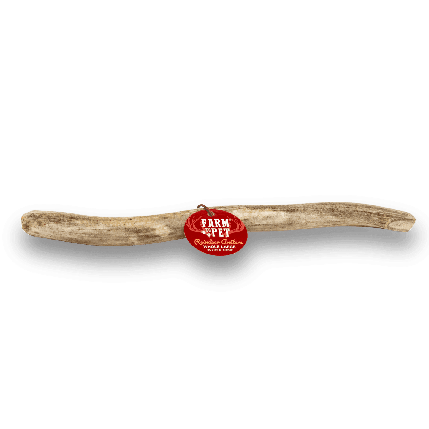 Whole Reindeer Antlers for Dogs - Skoutley Outdoors LLC