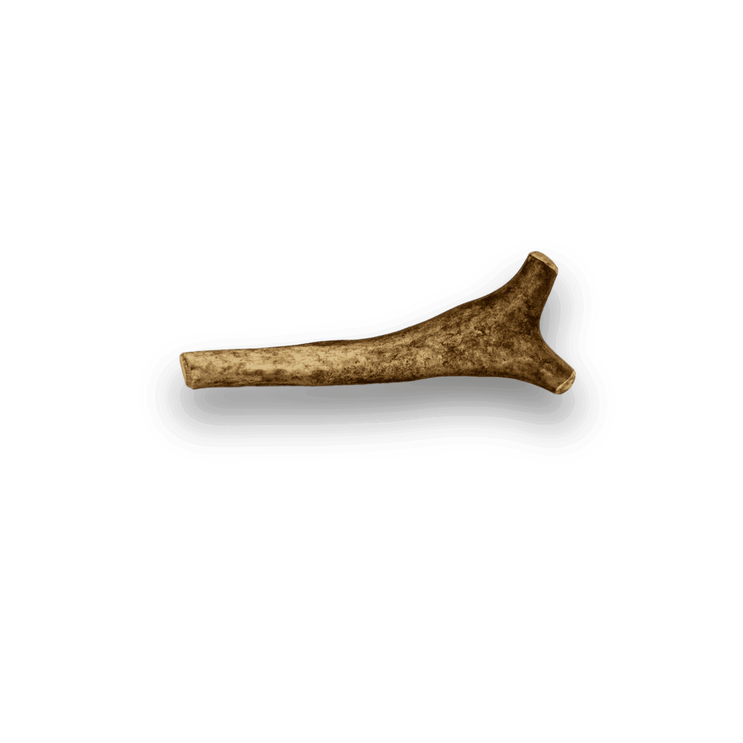 Whole Reindeer Antlers for Dogs - Skoutley Outdoors LLC