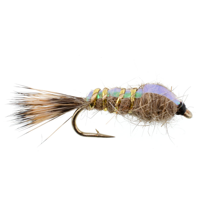 Load image into Gallery viewer, Classic Weighted Flashback Gold Ribbed Hares Ear Nymph - Set of 6 Flies - Size 14