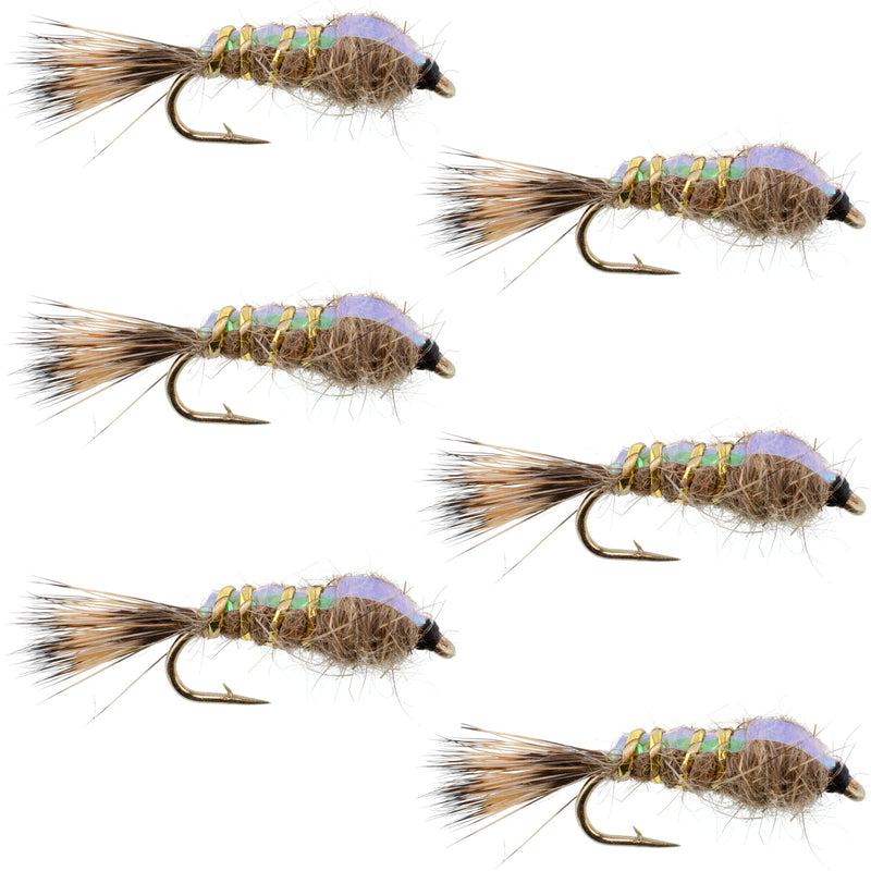 Load image into Gallery viewer, Classic Weighted Flashback Gold Ribbed Hares Ear Nymph - Set of 6 Flies - Size 12
