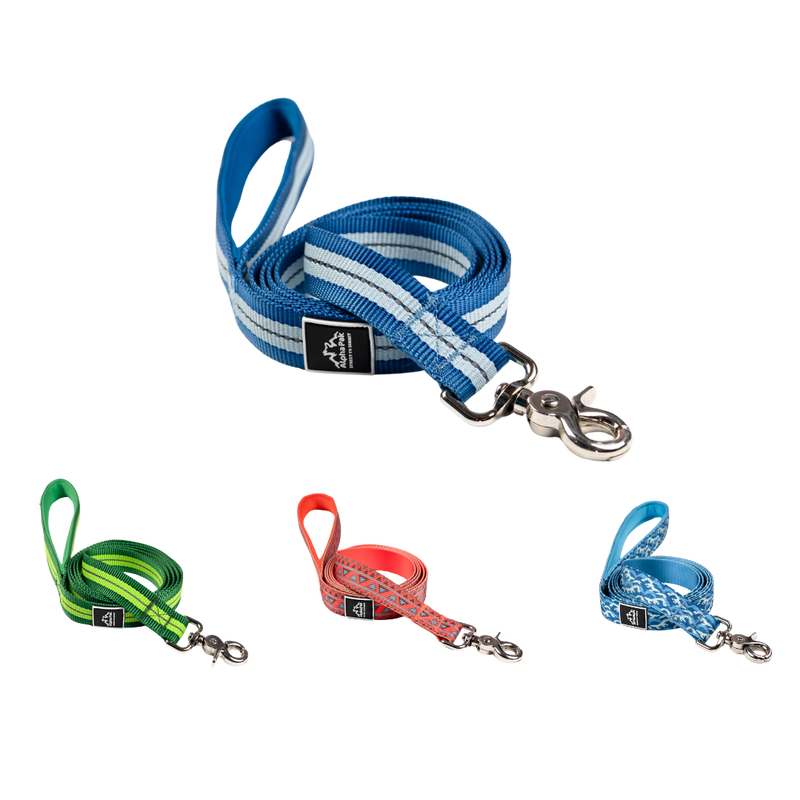 Load image into Gallery viewer, Classic Adventure Flat Dog Leash