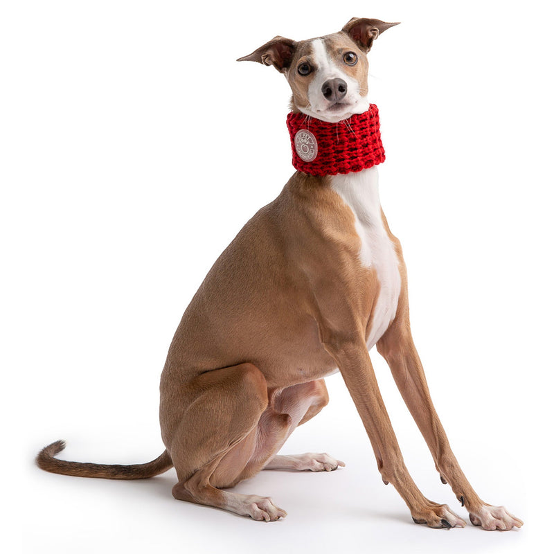 Load image into Gallery viewer, Chalet Tube Scarf - Red