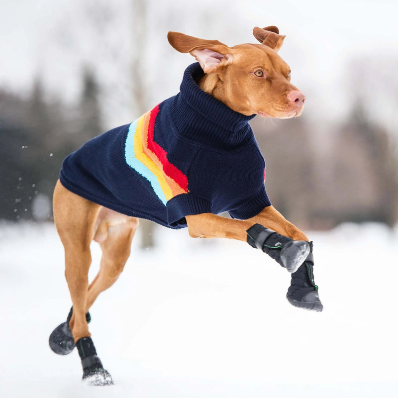 Load image into Gallery viewer, Elasto-Fit Dog Boots - Black