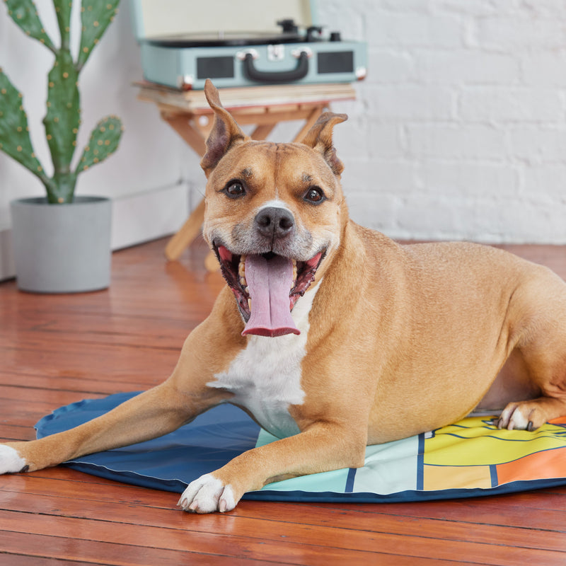 Load image into Gallery viewer, GF Pet Ice Mat