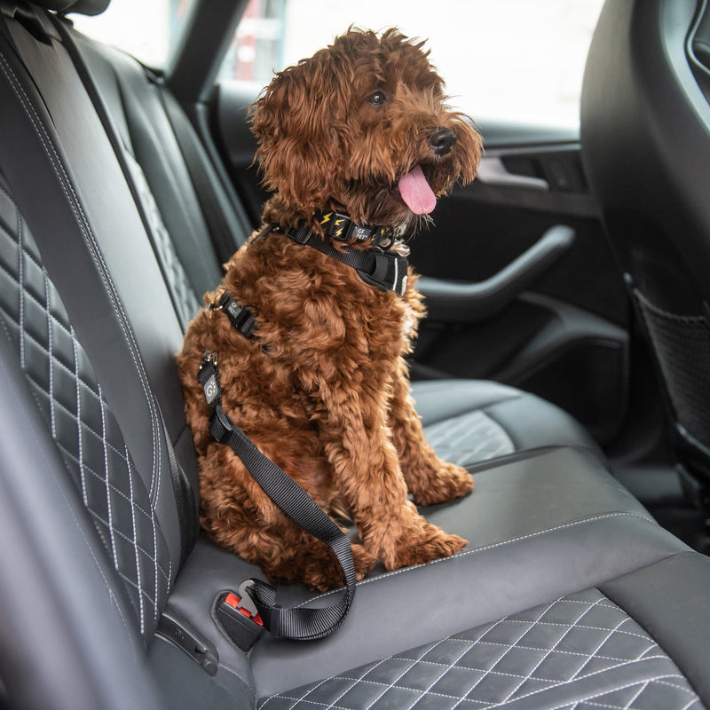 Load image into Gallery viewer, Pet Seat Belt Tether