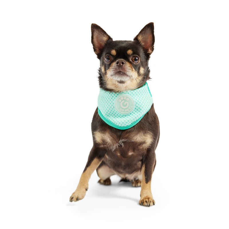 Load image into Gallery viewer, ICE BAND - Dog Cooling Bandana - Aqua
