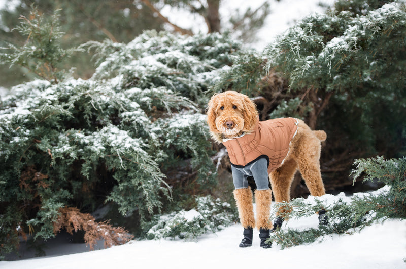 Load image into Gallery viewer, Urban Parka - Caramel