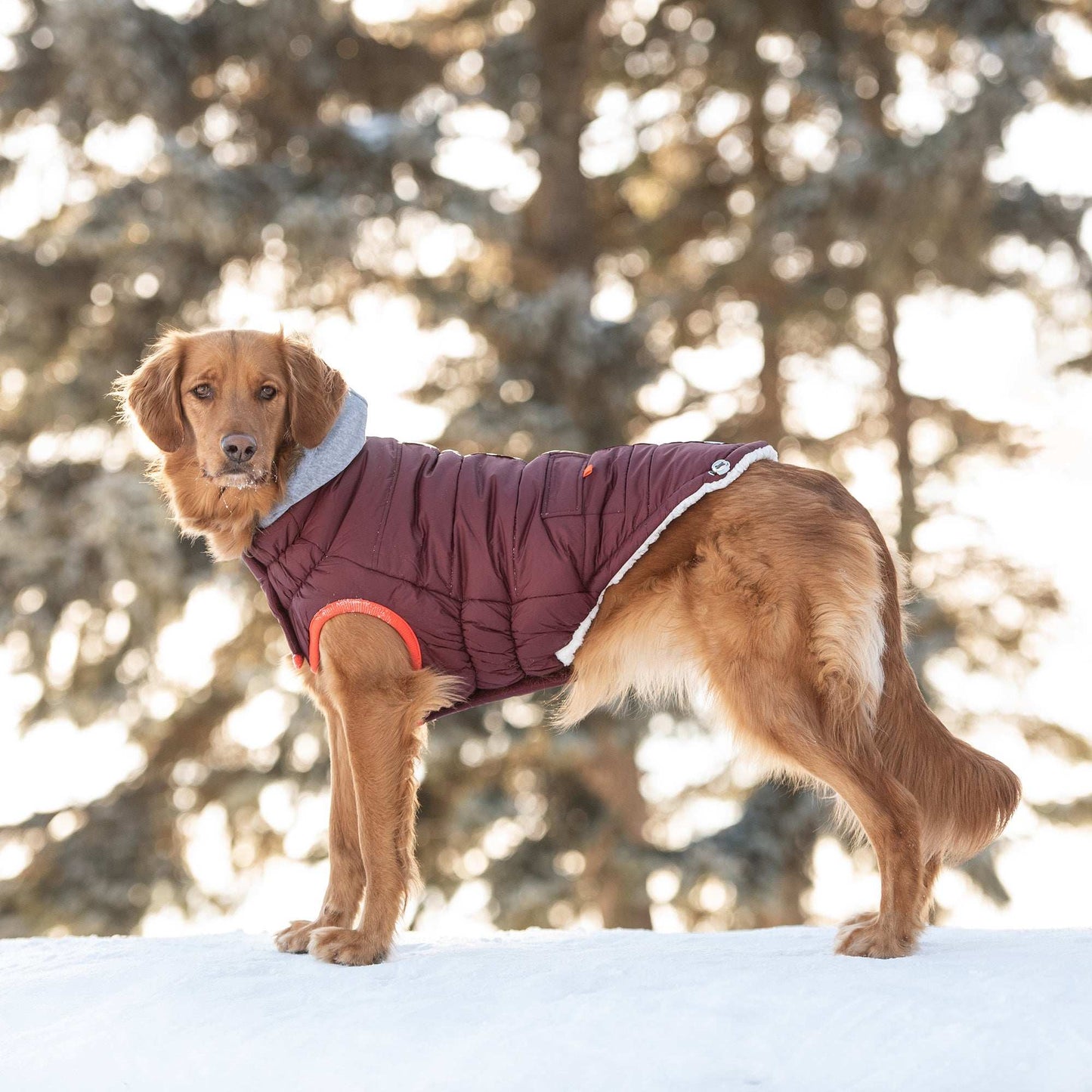 Winter Sailor Parka - Burgundy - Skoutley Outdoors LLC