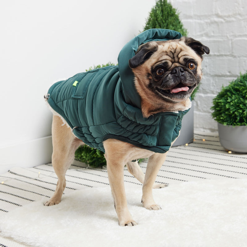 Load image into Gallery viewer, The Puff Parka - Teal