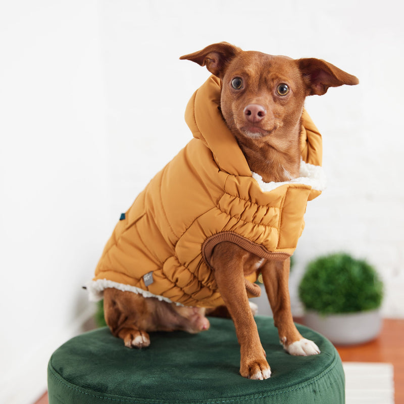 Load image into Gallery viewer, The Puff Parka - Yellow