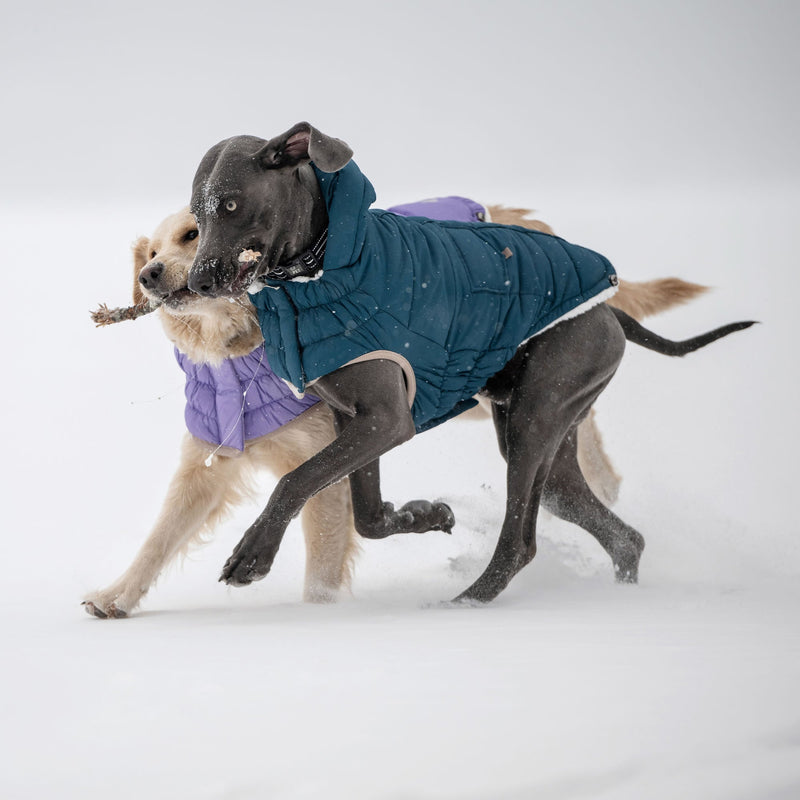 Load image into Gallery viewer, Nordic Parka