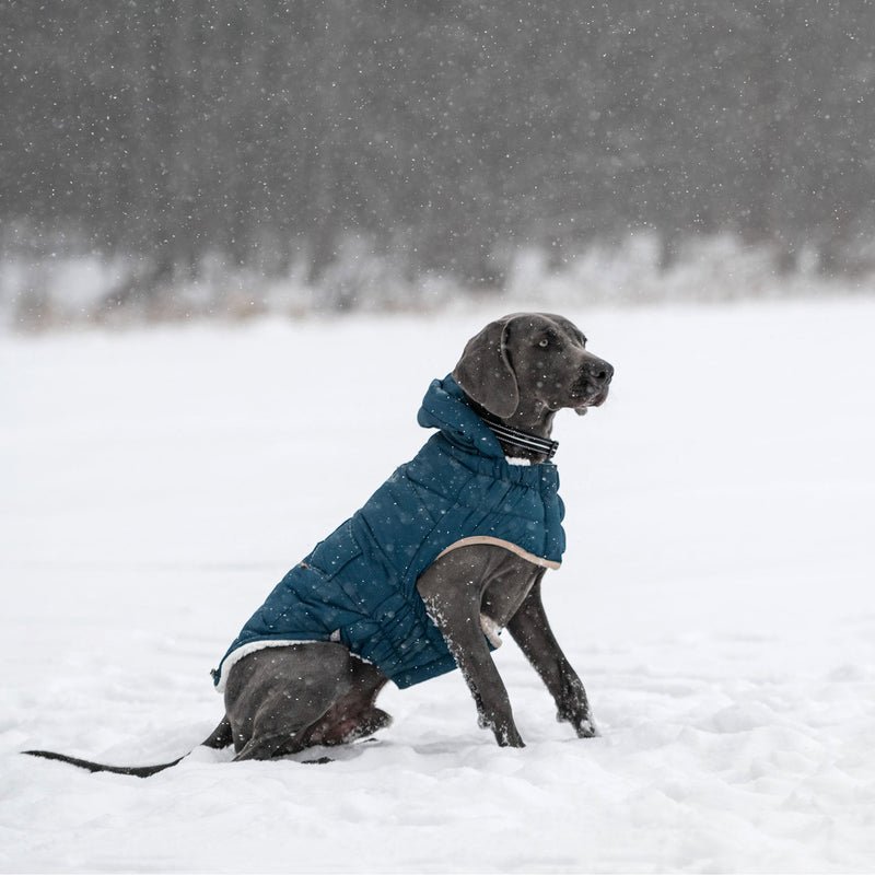 Load image into Gallery viewer, Nordic Parka