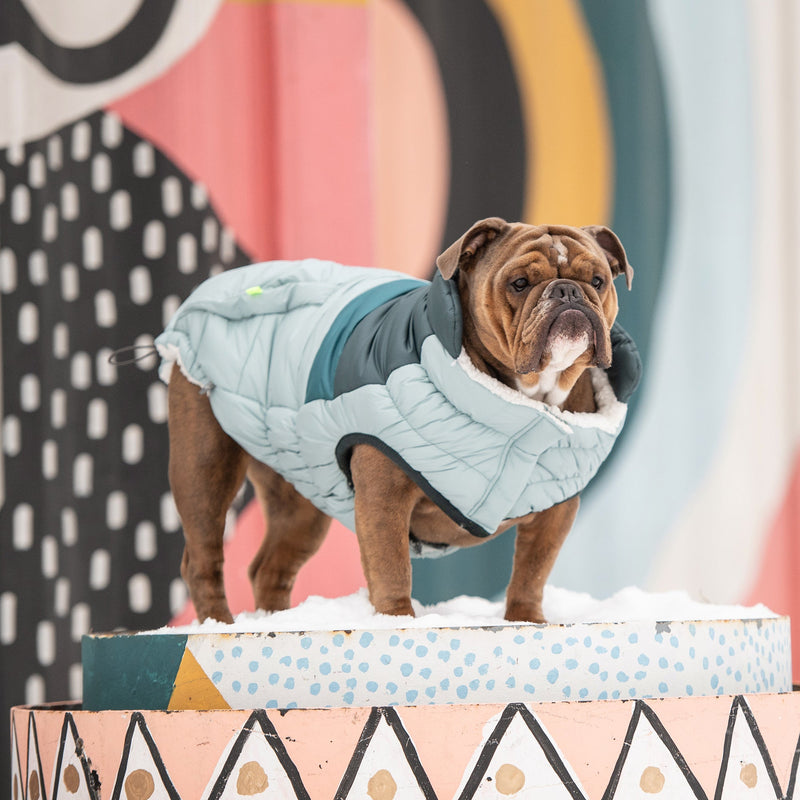 Load image into Gallery viewer, Retro Puffer - Light Blue