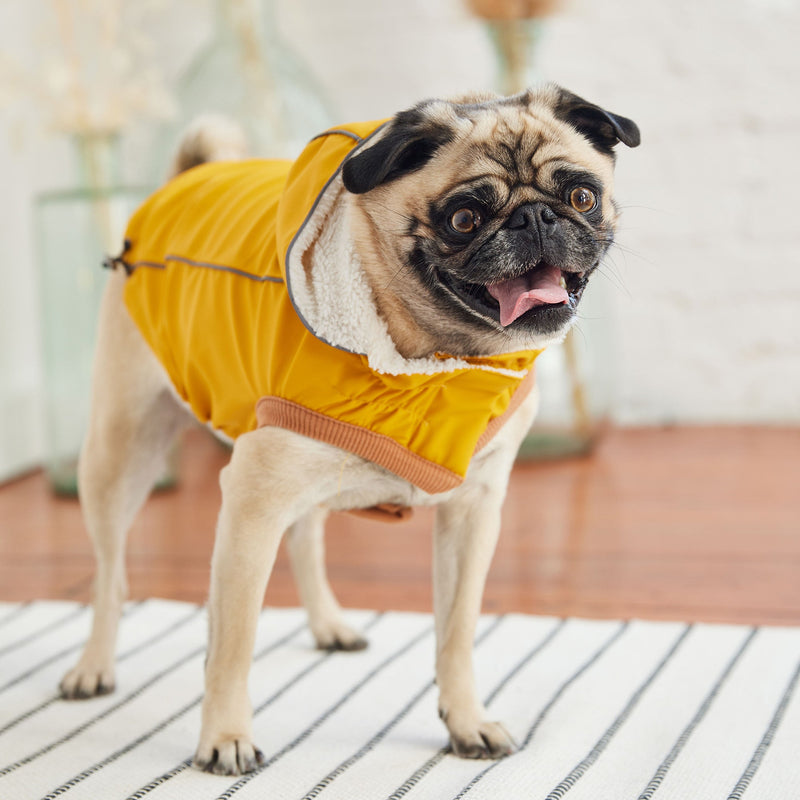 Load image into Gallery viewer, Insulated Raincoat - Yellow
