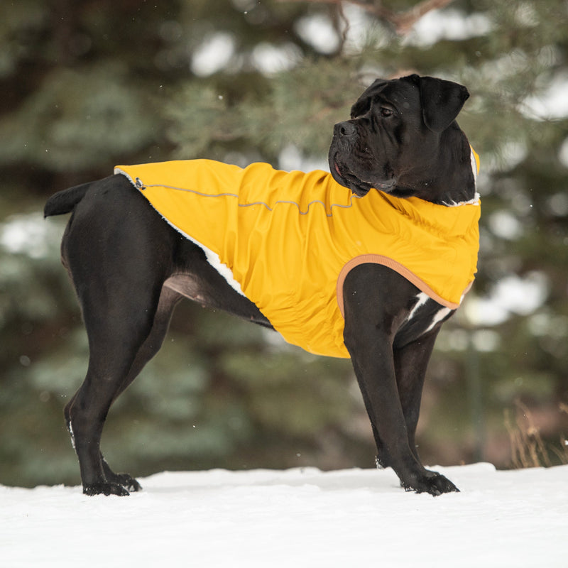 Load image into Gallery viewer, Insulated Raincoat - Yellow