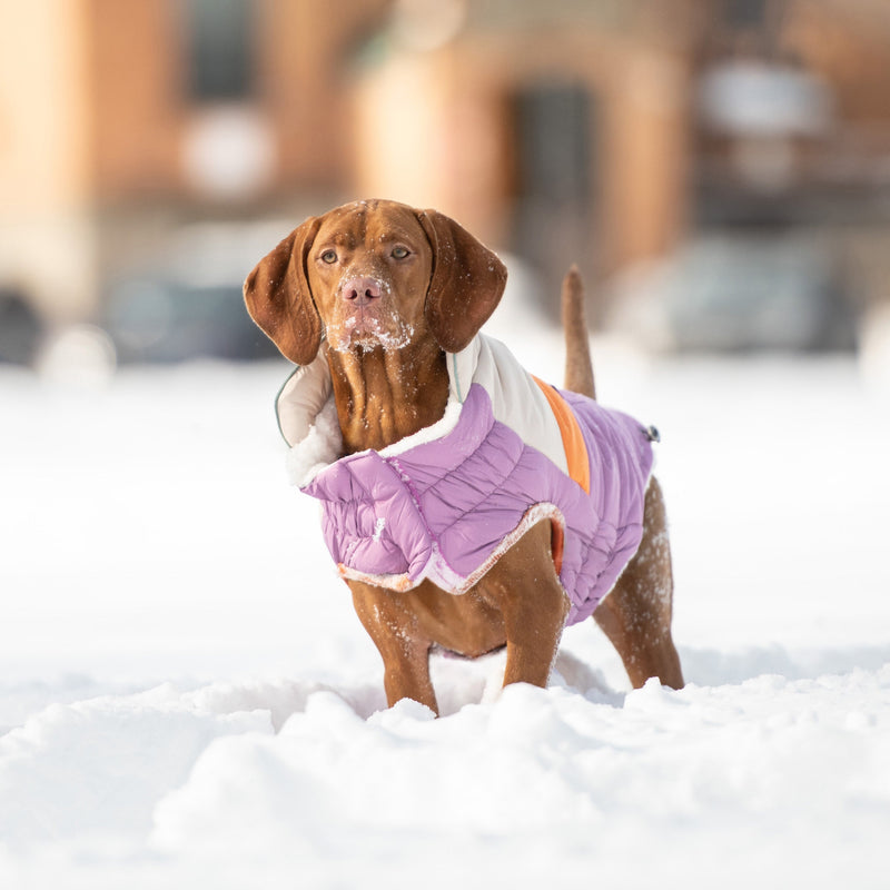 Load image into Gallery viewer, Camplife Puffer - Purple