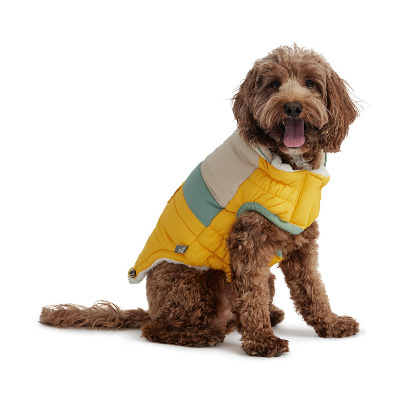 Load image into Gallery viewer, Camplife Puffer - Yellow