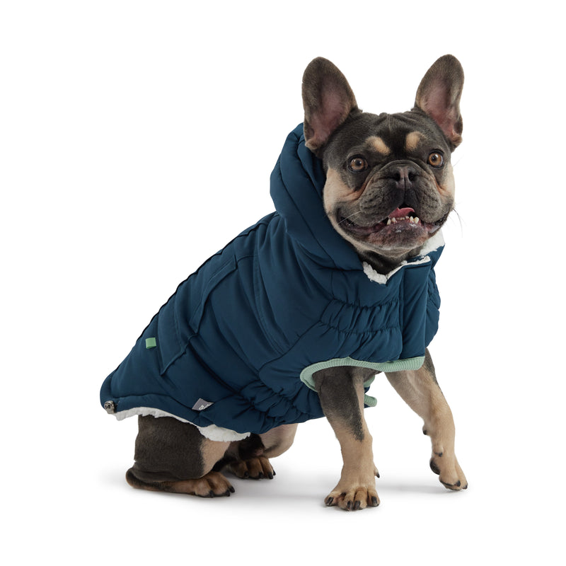 Load image into Gallery viewer, Arctic Parka - Teal
