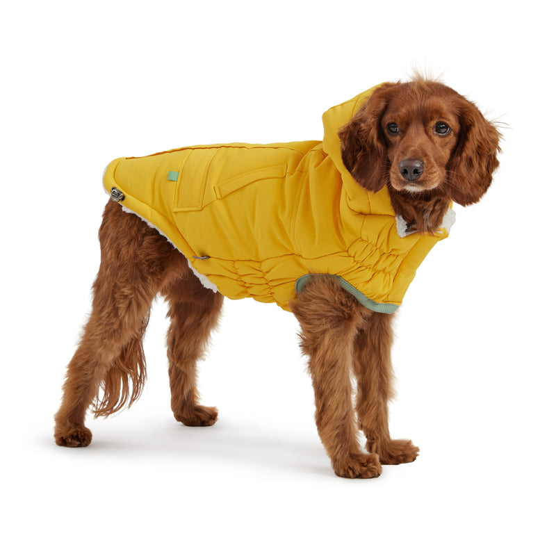 Load image into Gallery viewer, Arctic Parka - Yellow