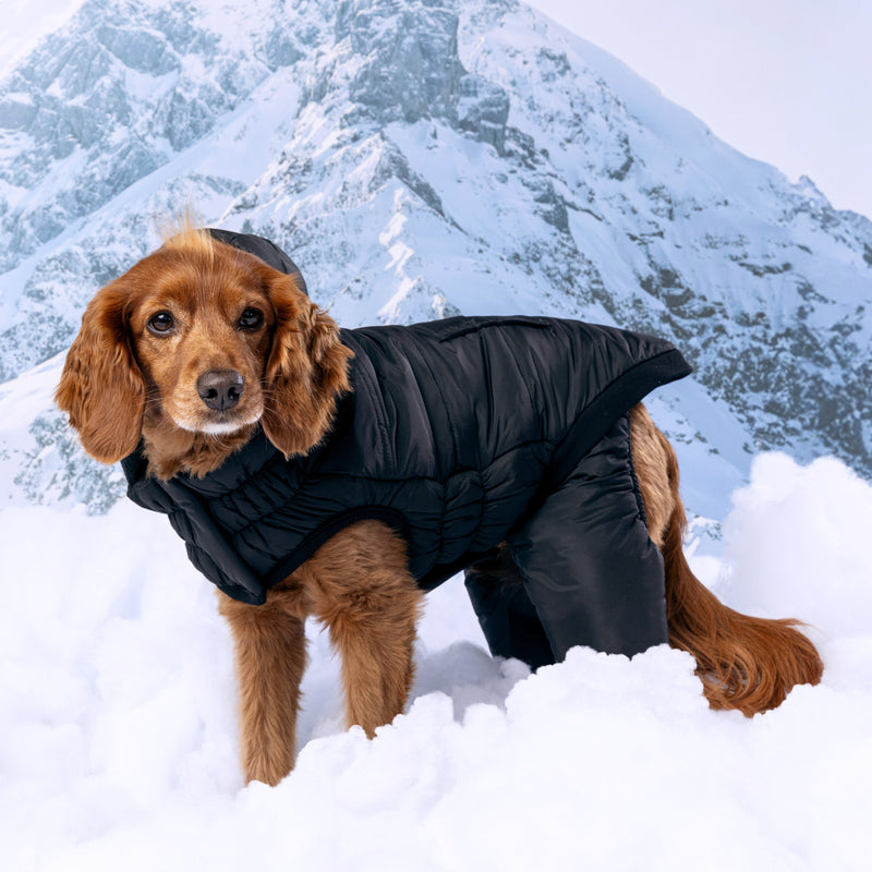 Load image into Gallery viewer, Odyssey Snowsuit