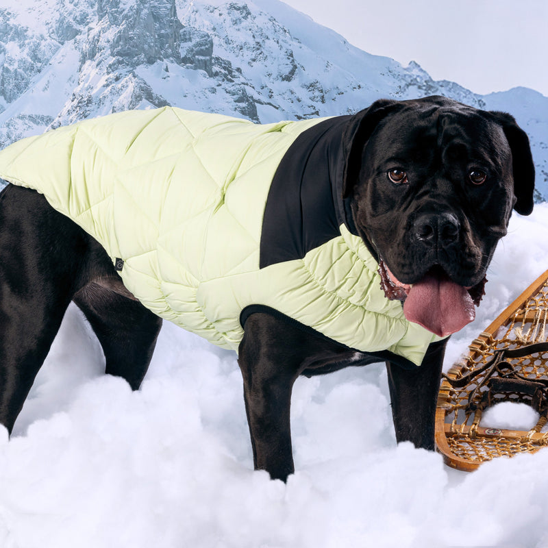 Load image into Gallery viewer, Diamond Puffer
