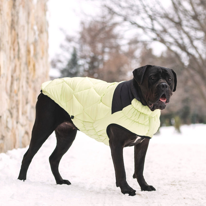 Load image into Gallery viewer, Diamond Puffer