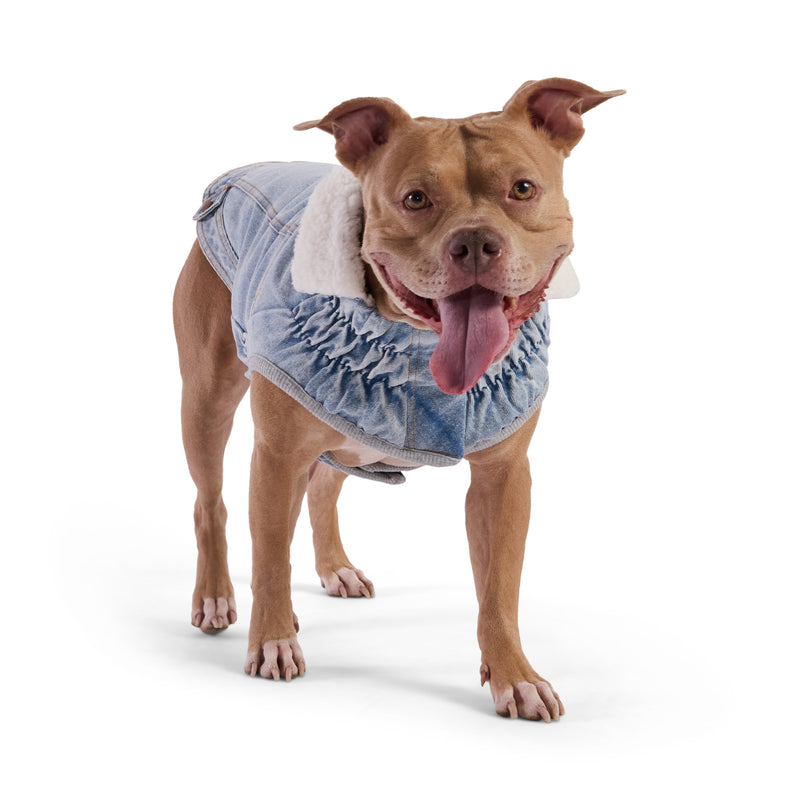 Load image into Gallery viewer, Northside Denim Jacket - Light Wash