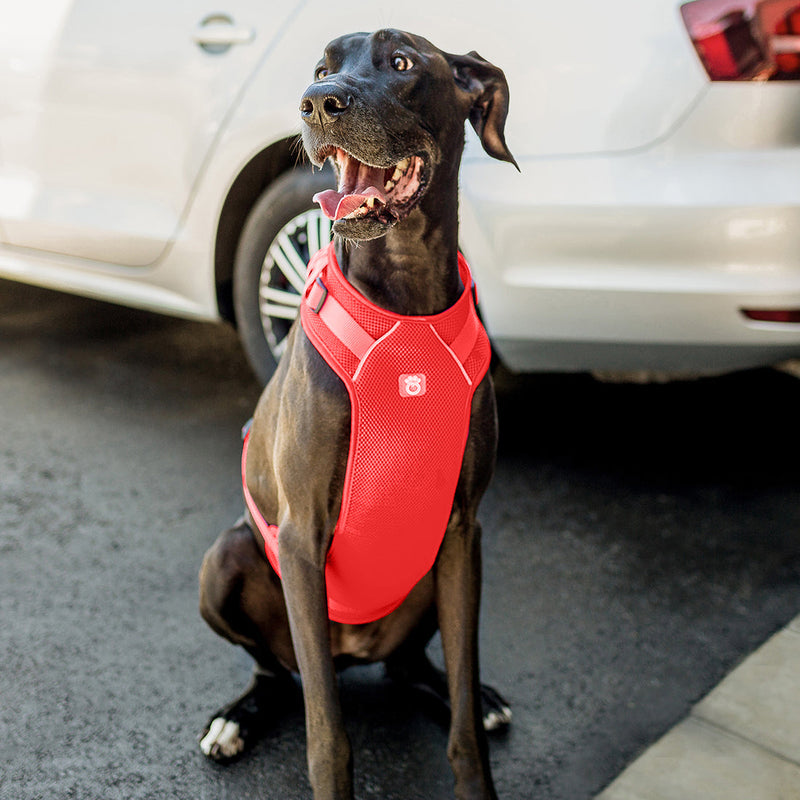 Load image into Gallery viewer, Travel Harness - Red