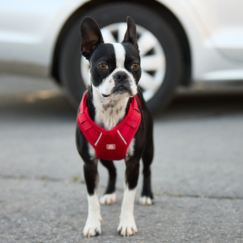 Load image into Gallery viewer, Travel Harness - Red