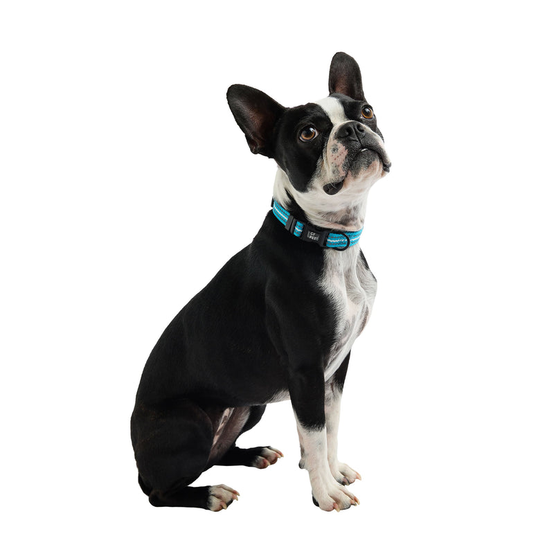 Load image into Gallery viewer, Reflective Collar - Neon Blue