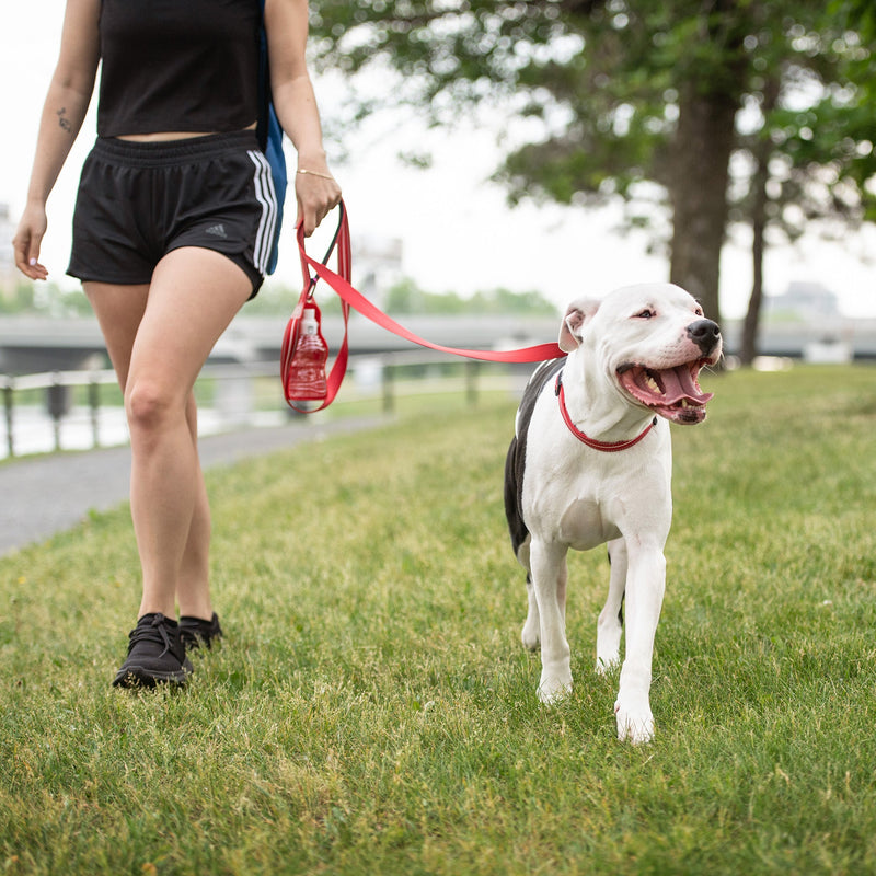 Load image into Gallery viewer, Reflective Collar - Red
