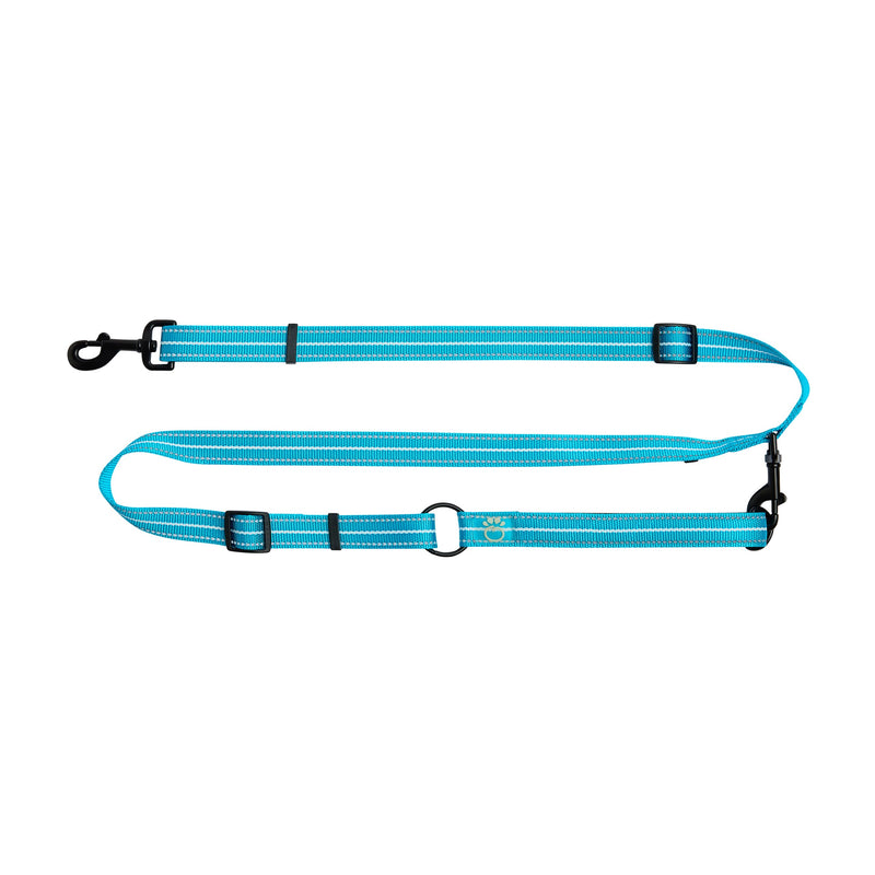Load image into Gallery viewer, Reflective Leash - EEZY-6 - Neon Blue