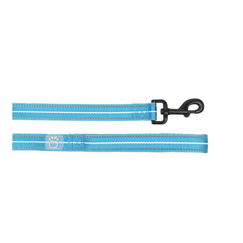 Load image into Gallery viewer, Reflective Leash - Neon Blue