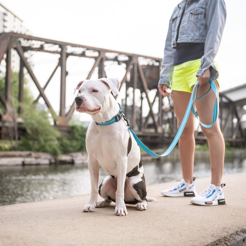 Load image into Gallery viewer, Reflective Leash - Neon Blue
