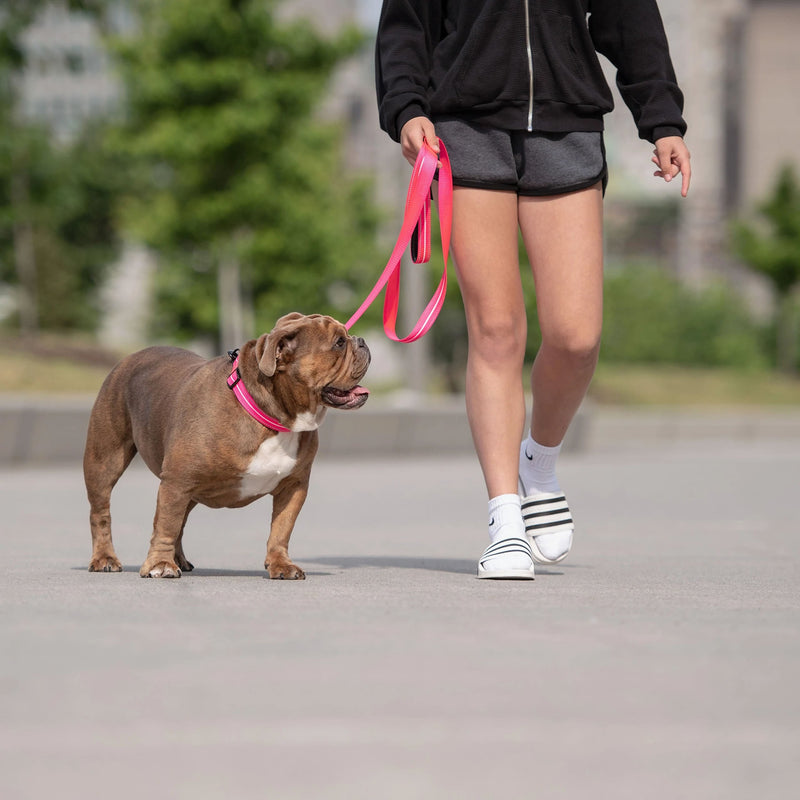 Load image into Gallery viewer, Reflective Leash - Neon Pink