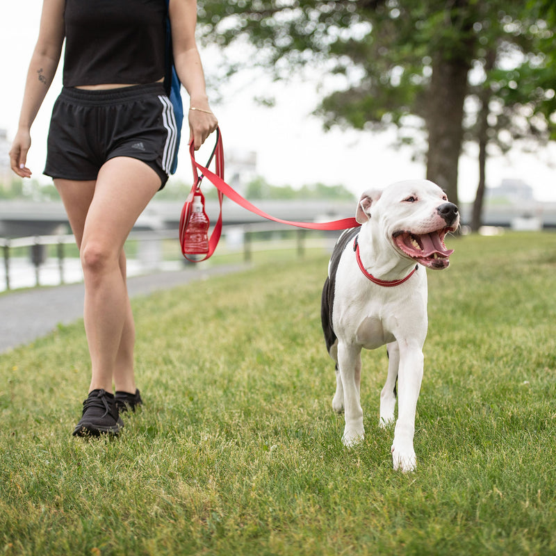 Load image into Gallery viewer, Reflective Leash - Red