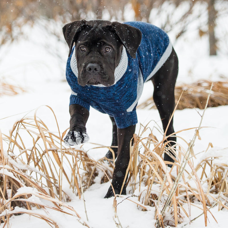 Load image into Gallery viewer, Trekking Sweater - Blue