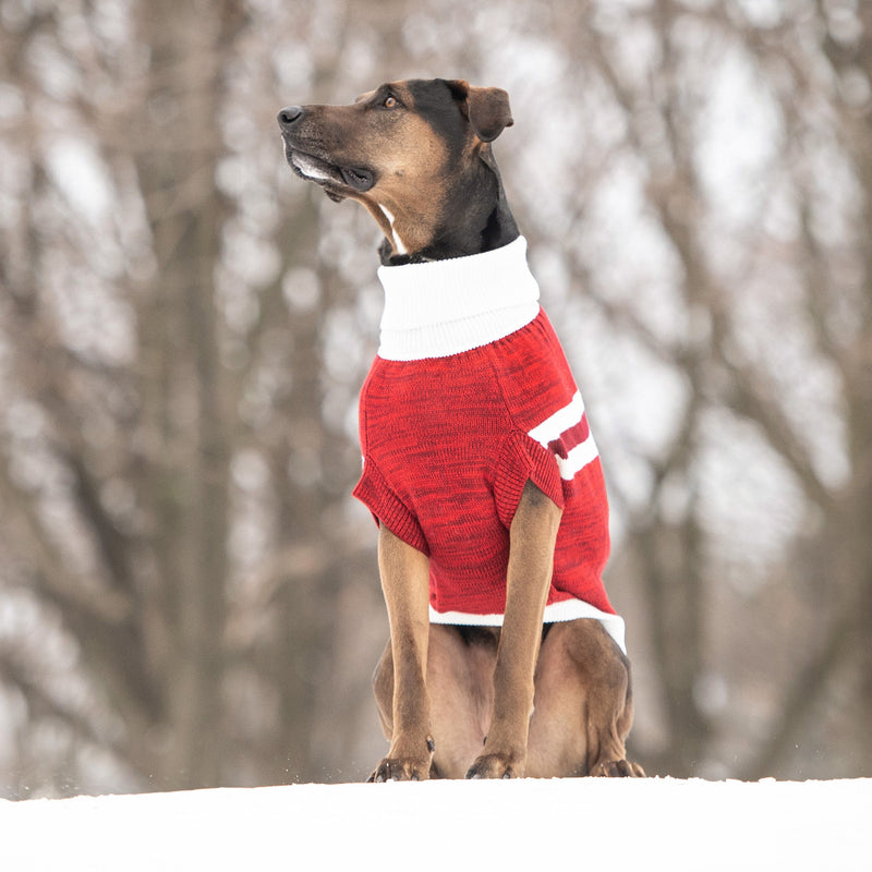 Load image into Gallery viewer, Trekking Sweater - Red