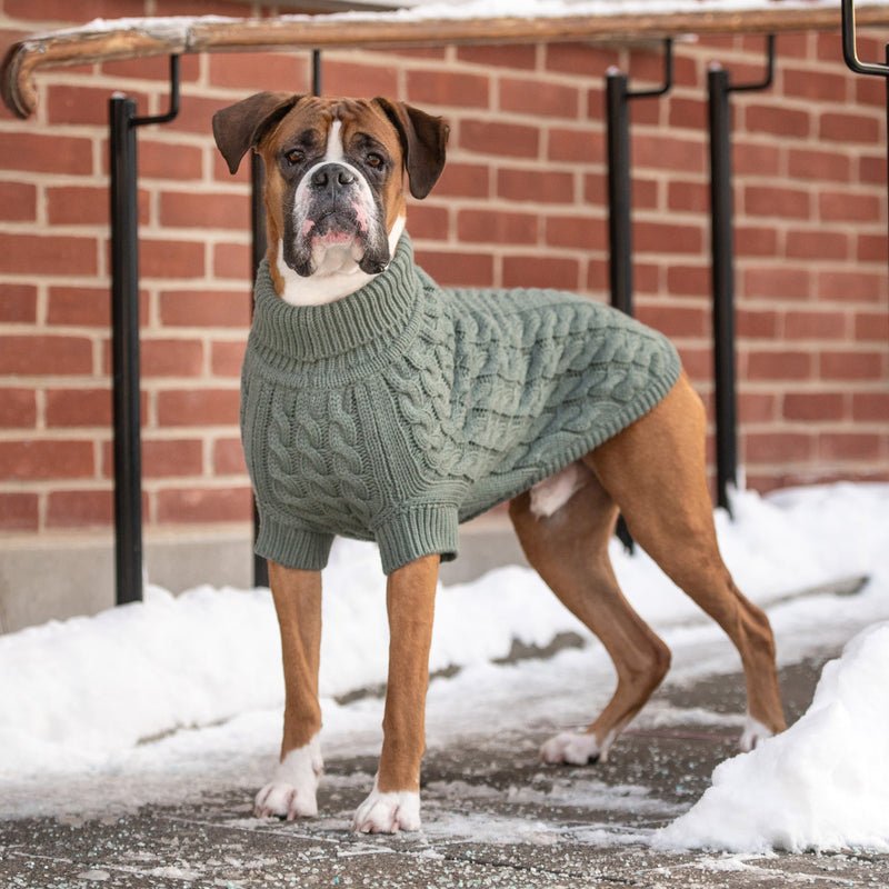 Load image into Gallery viewer, Chalet Sweater - Sage