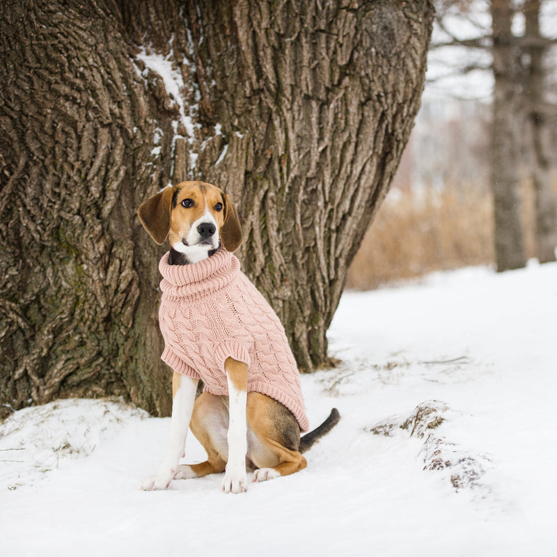 Load image into Gallery viewer, Chalet Sweater - Pink